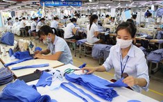 Cần hình thành nền công nghiệp hỗ trợ trong ngành dệt may