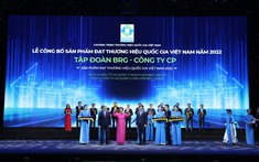 Nhiều thương hiệu thuộc Tập đoàn BRG  được vinh danh “Thương hiệu Quốc gia Việt Nam năm 2022”