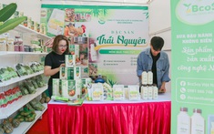 Chuyển đổi số - chìa khóa tất yếu cho sự phát triển của doanh nghiệp vừa và nhỏ
