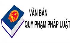 Rà soát văn bản QPPL thuộc thẩm quyền của Thủ tướng