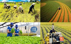 Nông nghiệp vượt khó khăn, tăng trưởng vượt xa mục tiêu đề ra