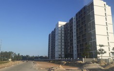 Vicoland đề xuất đầu tư dự án 150 ha tại vùng Đông Quảng Nam
