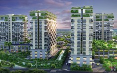 Công ty TLH – Đơn vị phát triển kinh doanh dự án FiAto Premier