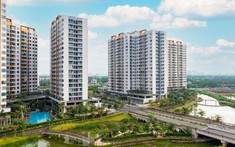 Chung cư giảm nhiệt, đất nền tạo sóng trong tháng cuối năm
