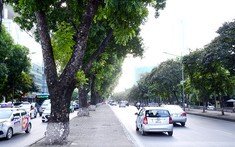 Tổng quan về quận Ba Đình, Hà Nội