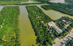 “BĐS cao cấp, hạng sang buộc môi giới phải hoàn thiện không ngừng”