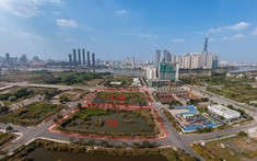 Sau vụ "bỏ cọc" của Tân Hoàng Minh, HoREA đề nghị sửa luật tránh tình trạng đấu giá cao bất thường