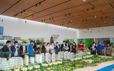 Giới đầu tư sốt sắng gom mua bất động sản Bình Thuận đón chu kỳ 2022 -2023