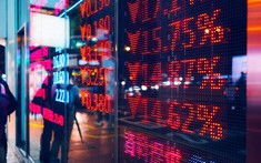 Hàng loạt cổ phiếu bất động sản nằm sàn sau ồn ào giao dịch của FLC, Tân Hoàng Minh