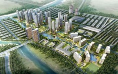 Lãnh đạo Coteccons liên tiếp từ nhiệm sau chưa đầy 1 năm về đầu quân