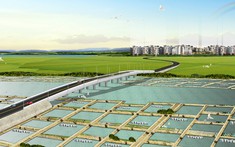 Khởi công tuyến đường trục phát triển kinh tế Đông Tây tỉnh Sóc Trăng