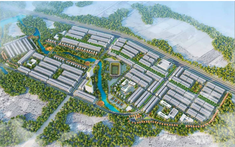 Đất Xanh lập công ty con đầu tư dự án 4.000 tỉ đồng tại Hậu Giang