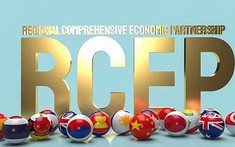 Từ 1/1/2022, RCEP - Hiệp định thương mại lớn nhất thế giới chính thức có hiệu lực