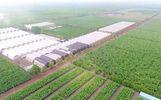 Quảng Ninh sẽ có khu nông nghiệp công nghệ cao 106ha