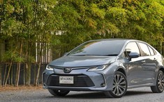 Toyota Corolla Altis 2022 rục rịch ra mắt Việt Nam, có cả động cơ Hybrid lẫn gói công nghệ Toyota Safety Sense