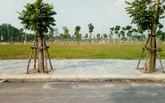 Quả đắng khi đầu tư đất quê