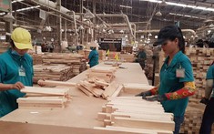 Gỗ Thuận An đặt mục tiêu lợi nhuận 17,18 tỷ đồng năm 2022