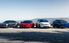 Tesla thống trị lượt tìm kiếm Google dành cho xe điện trong năm 2021