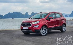Ford Ecosport ngừng sản xuất, nhường chỗ cho xe mới Territory?