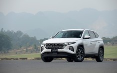 Bảo dưỡng Hyundai Tucson: Chi phí, các hạng mục và lịch bảo dưỡng Tucson