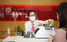 Chủ tịch BRG Nguyễn Thị Nga dự chi hơn 285 tỷ đồng, tăng gấp đôi tỷ lệ sở hữu SeaBank