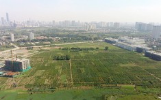 Quy hoạch sử dụng đất là gì và thẩm quyền phê duyệt?