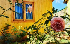 Lợi nhuận homestay đâu chỉ đong đếm bằng tiền