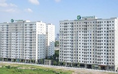 Tổng rà soát về việc quản lý, sử dụng nhà ở xã hội
