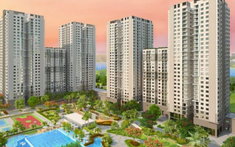 Bình Dương ban hành khung giá dịch vụ quản lý vận hành nhà chung cư