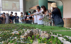 Những tân binh nhầm đường