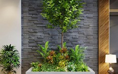 Khi thiết kế tiểu cảnh sân vườn cần chú ý điều gì?