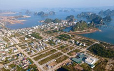 Quảng Ninh: dỡ lệnh dừng tách thửa đất tại Vân Đồn