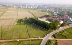 Hà Nội yêu cầu tạm dừng phân lô tách thửa đẩt nông nghiệp
