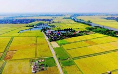 Ba tỉnh được chuyển một số khu đất nông nghiệp sang phát triển khu đô thị