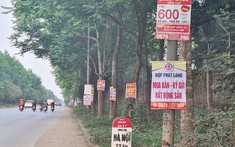 Cơn gió nào đã thổi giá đất tăng điên đảo từ Bắc chí Nam?