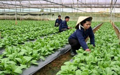 Hoà Bình sắp có khu nông nghiệp công nghệ cao kết hợp du lịch rộng 146ha