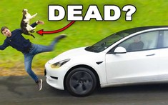 Liệu hệ thống an toàn chủ động của xe Tesla có thể tự tránh né một chú mèo? Đây là câu trả lời
