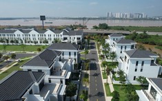 Novaland đặt mục tiêu doanh thu cao kỷ lục trong năm 2022