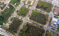 Dự kiến bổ sung quy định mới về đấu giá quyền sử dụng đất