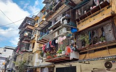 Hà Nội: Lập tổ công tác hoàn thiện quy định cải tạo, xây dựng lại nhà chung cư