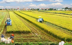 Hai địa phương được chuyển đổi gần 90ha đất nông nghiệp để làm dự án đô thị, khu công nghiệp