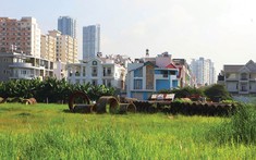 Chuyển gần 134 ha đất nông nghiệp ở 3 tỉnh, thành sang đất phi nông nghiệp