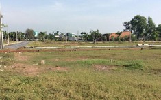 Có đất trồng cây lâu năm nhưng không sử dụng, có bị xử phạt?