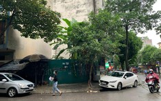 Đấu giá trên trời rồi bỏ cọc, mối nguy tạo giá ảo thao túng thị trường