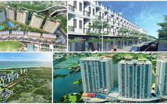 Bà Rịa - Vũng Tàu: Xử lý loạt kiến nghị của các doanh nghiệp bất động sản
