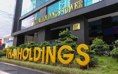 Thaiholdings giải trình lợi nhuận công ty mẹ tăng hơn 5,26 lần nhờ lãi lớn mảng kinh doanh thực phẩm, vật liệu xây dựng và cho thuê văn phòng