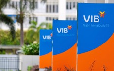 Ngân hàng VIB muốn nâng vốn điều lệ lên trên 21.000 tỷ đồng, đặt mục tiêu lợi nhuận 10.500 tỷ đồng