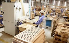 Kín đơn hàng đến hết quý 3, doanh nghiệp nội thất gỗ vẫn nhiều nỗi lo