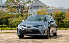 TMV ra mắt Toyota Corolla Altis hoàn toàn mới, giá từ 719 triệu đồng