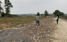 Quản sốt đất, tránh tình trạng “đá ném ao bèo”